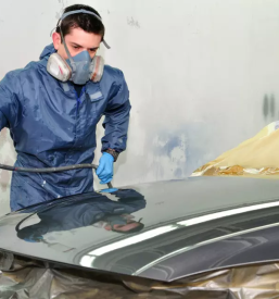 Avtoličar Koper, Obala