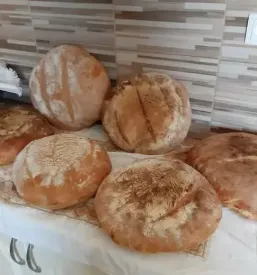 prostor za zaključene družbe v posavju