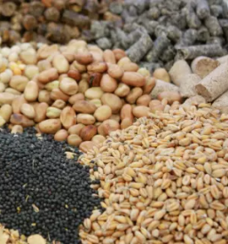 Kvalitetne kmetijske trgovine savinjska