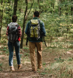 Najem prostega apartmaja lesce
