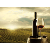 Vanda Cukjati - sobodajalka