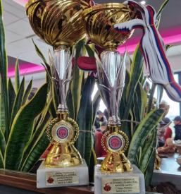 Prostovoljno gasilsko drustvo stari trg ob kolpi crnomelj