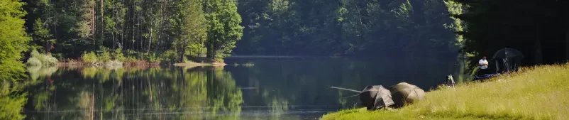 Ribolovne dovolilnice Ilirska Bistrica