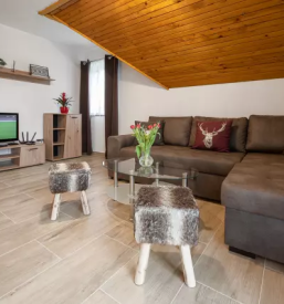 Ugoden najem apartmaja za več oseb gorje, bled