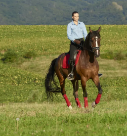 Jahanje konj Jesenice