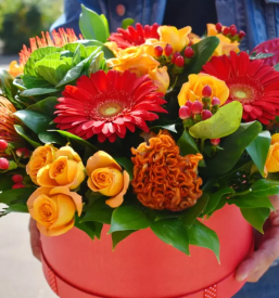 Dostava cvetja ajdovscina