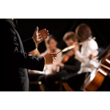 Kulturno društvo godalni orkester Celje