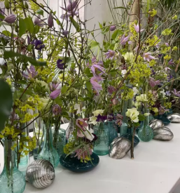 Vrtnarija slovenj gradec