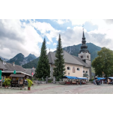 Silvester Hostnikar - sobodajalec