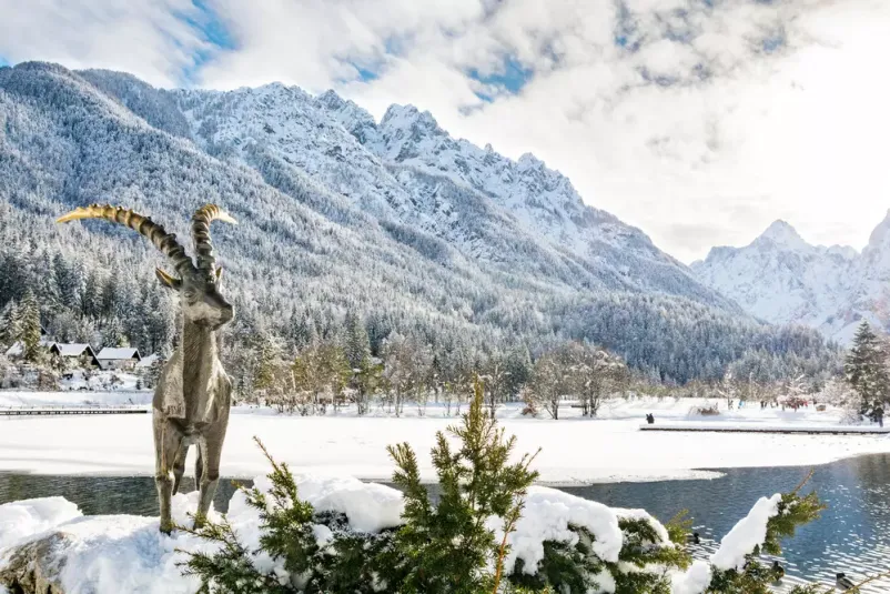 Affordable apartment with terrace Kranjska Gora, Slovenia