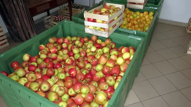 Prodaja domačega kisa Gorenjska