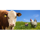 Jaka Lipovec Boh s.p.