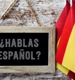 Poucevanje spanscine novo mesto