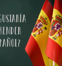 Poucevanje spanscine novo mesto