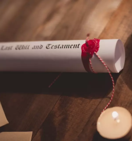 Sodna izvedenka idrija primorska