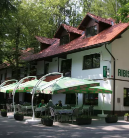 Spletna prodaja ribolovnih dovolilnic za vse vrste ribolova slovenija