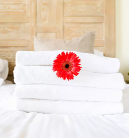 Ugoden apartma bohinj