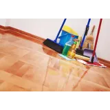 Čistilni servis, Nicolae Didea s.p.