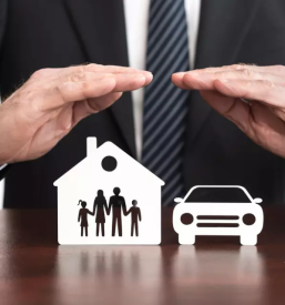 Zavarovalnisko zastopanje dolenjska