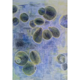 Mojca Založnik, s.p.