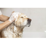 Ula Papler Remic s.p.