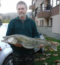 Prodaja ribolovnih dovolilnic v Pomurju