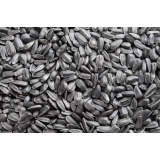 Danijel Žagar - Nosilec Dopolnilne Dejavnosti Na Kmetiji