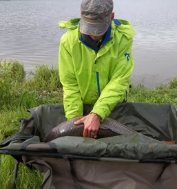 Ribiska druzina ljutomer pomurje