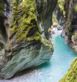 Sobodajalci na Goriškem