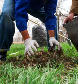 Urejanje okolice murska sobota