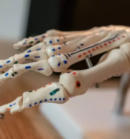 Masaža obraza darilni bon, Gorenjska