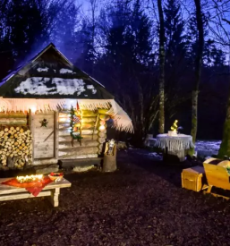 Bozickova dezela slovenija