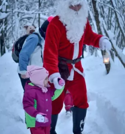 Bozickova dezela slovenija