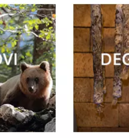 Delavnice z zelisci na dolenjskem