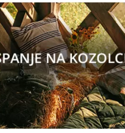 Delavnice z zelisci na dolenjskem