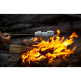 Društvo tabornikov rod Topli vrelec Topolšica