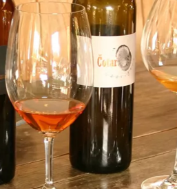 Gobarjenje na dolenjskem