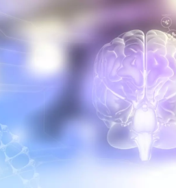 Kvalitetna nevrofizioterapija slovenija