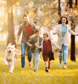 Počitniška koča v naravi Postojna