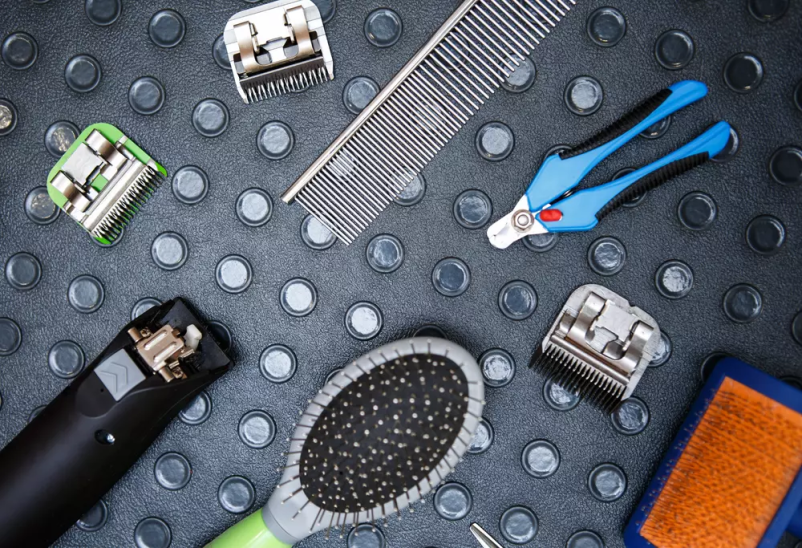 Pasji salon Topolšica