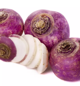 Predelava in prodaja kisle repe prebold