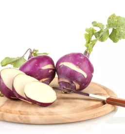 Predelava in prodaja kisle repe prebold