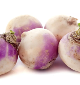 Predelava in prodaja kisle repe prebold