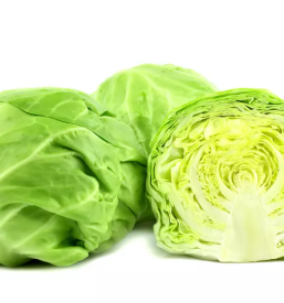 Predelava in prodaja kislega zelja prebold