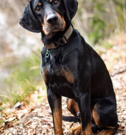 Ugodno fotografiranje slovenija