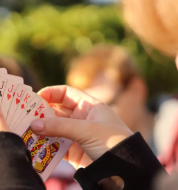 Tekmovanje v igri Bridga