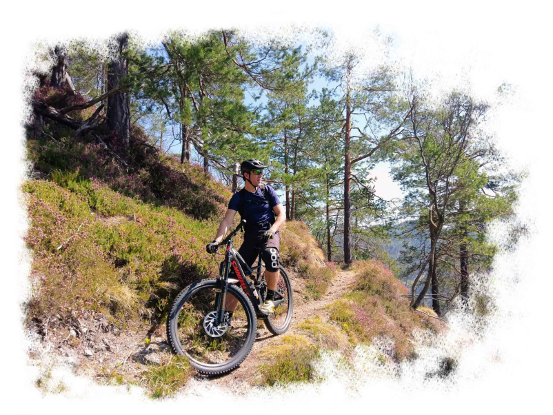 Entdecken Sie Slowenien auf organisierten Radtouren