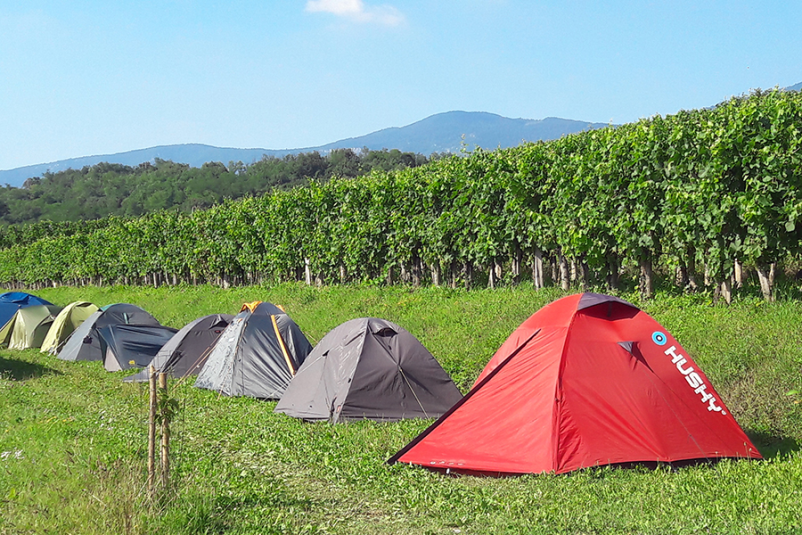 Ugodno kampiranje Vipavska dolina