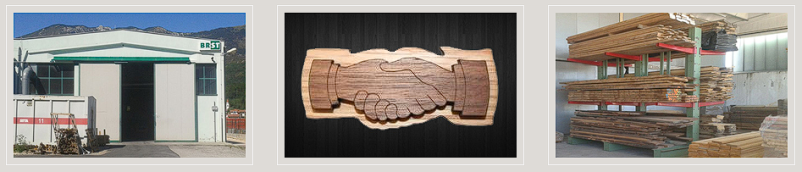 Prodaja in predelava lesa Slovenija