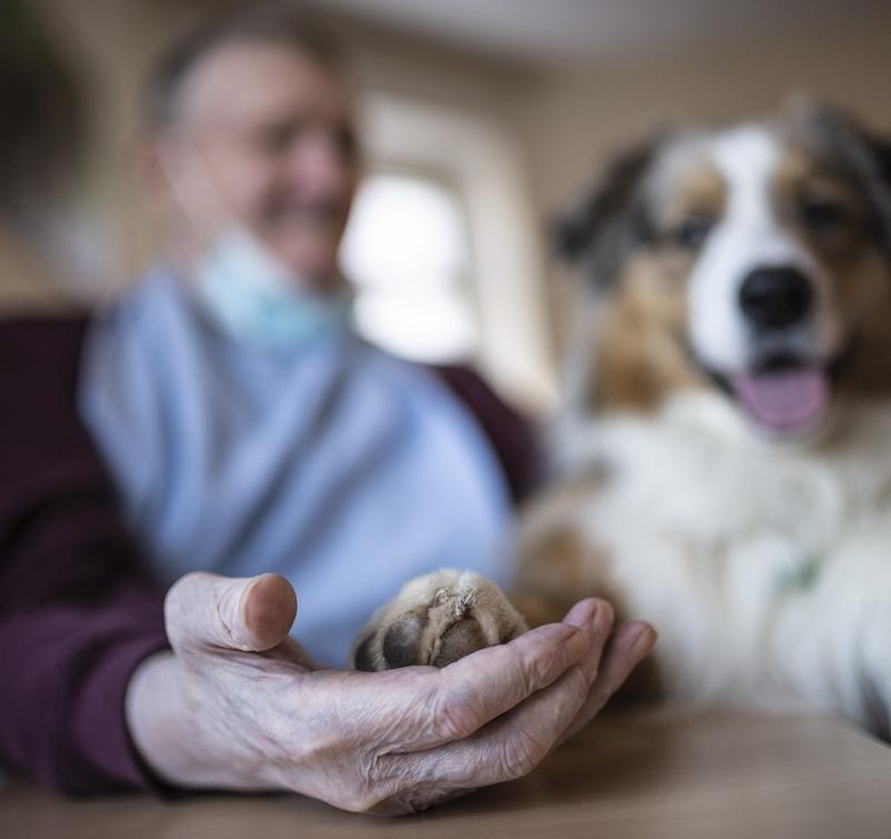 Dom za ostarele Osrednaj SLovenija
